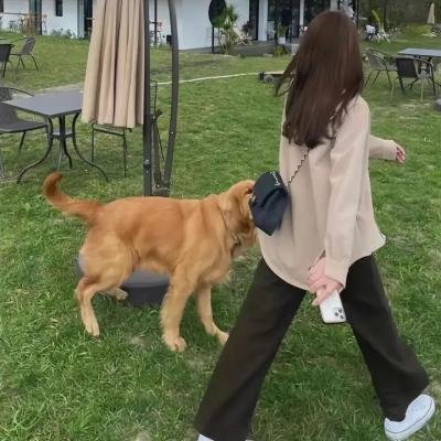 好运的磨坊